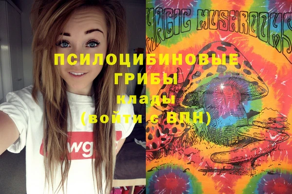 ГАЛЛЮЦИНОГЕННЫЕ ГРИБЫ Алексин