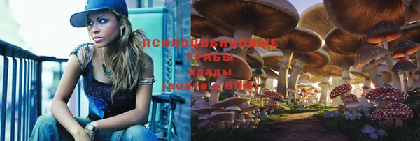 прущие крисы Аркадак