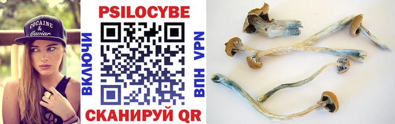 Галлюциногенные грибы Psilocybe  Сасово 